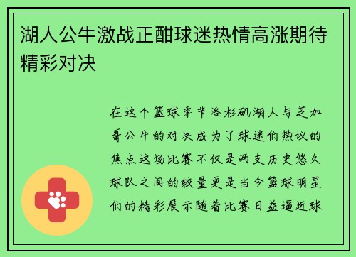 湖人公牛激战正酣球迷热情高涨期待精彩对决